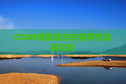 CSDN博客域名的重要性及其优势